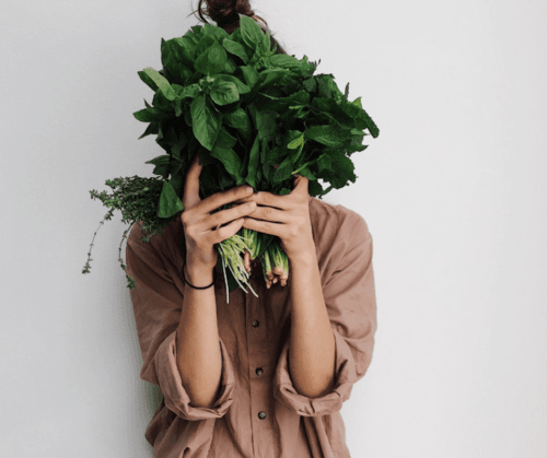 transición al veganismo