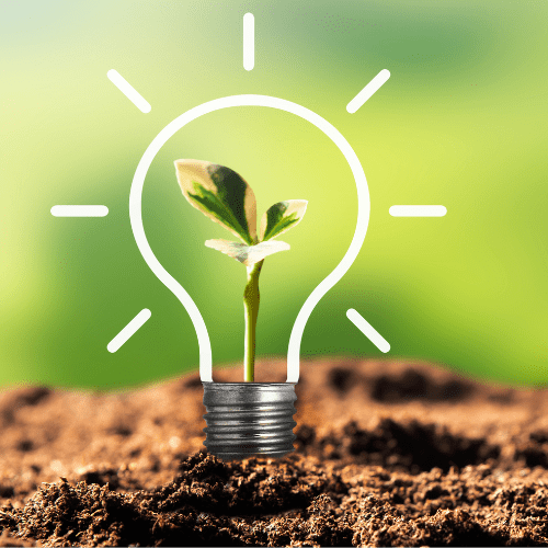 Dieta vegana