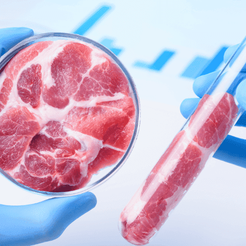 Clean Meat