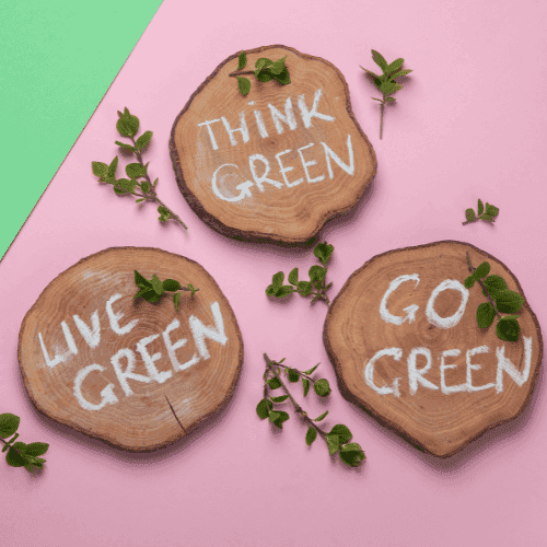 Hábitos sostenibles